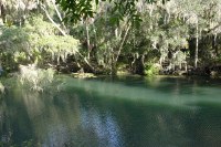 Blue Spring State Park - great spring, not much of a hiking trail