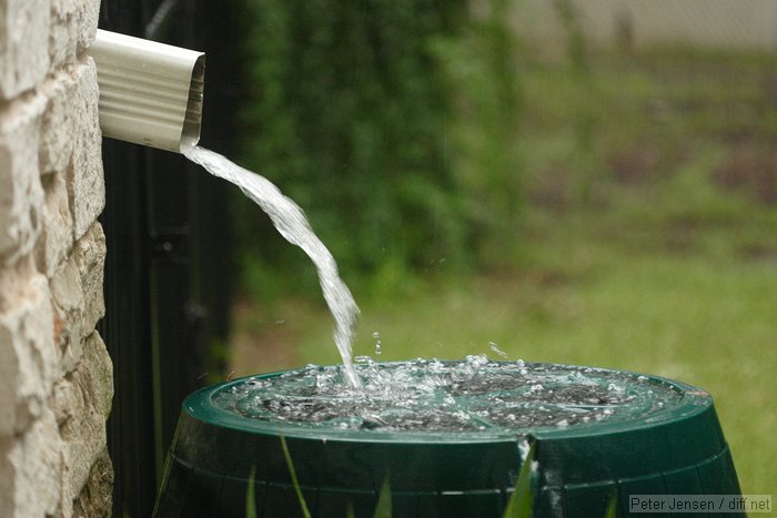 rainwater coming down off of the roof and in to the full rain barrel