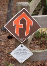 Florida Trail in Stephen Foster Folk Culture Center State Park