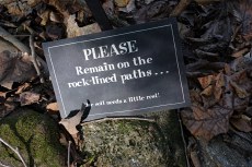 remain on the rock-lined paths