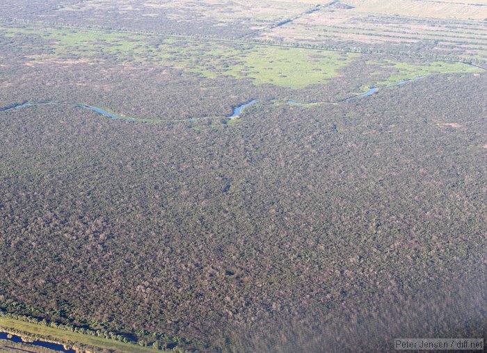 wetlands west of Palm Bay