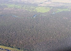 wetlands west of Palm Bay