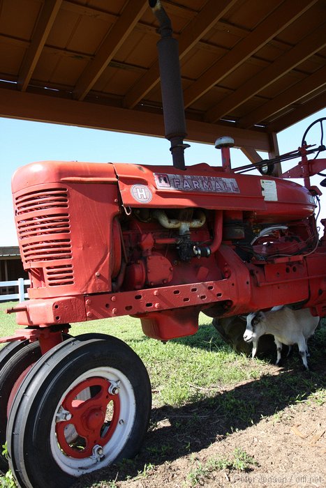 tractor goat