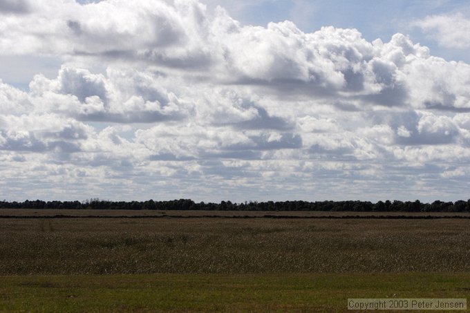 Three Forks Marsh WMA