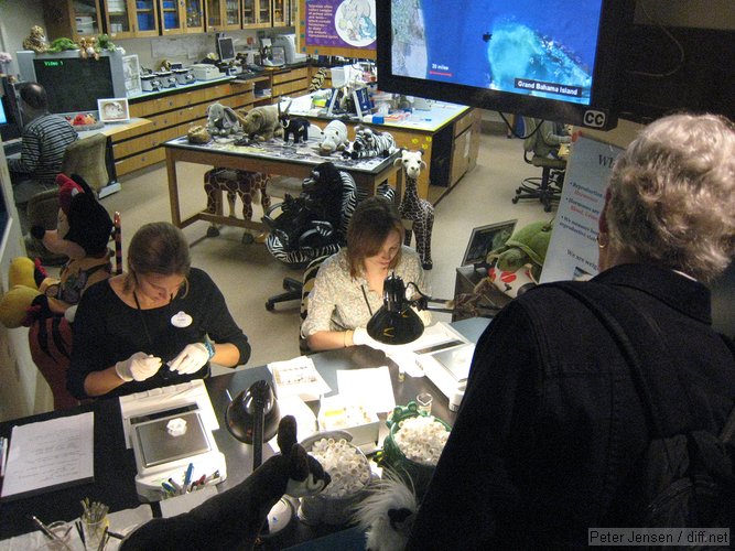 weighing poop while people watch you through a glass window