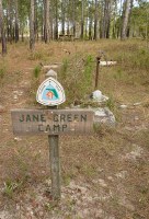 Jane Green Camp