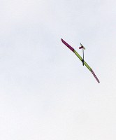 before we enabled the brake on the ESC you had to stall it to get the prop to stop windmilling