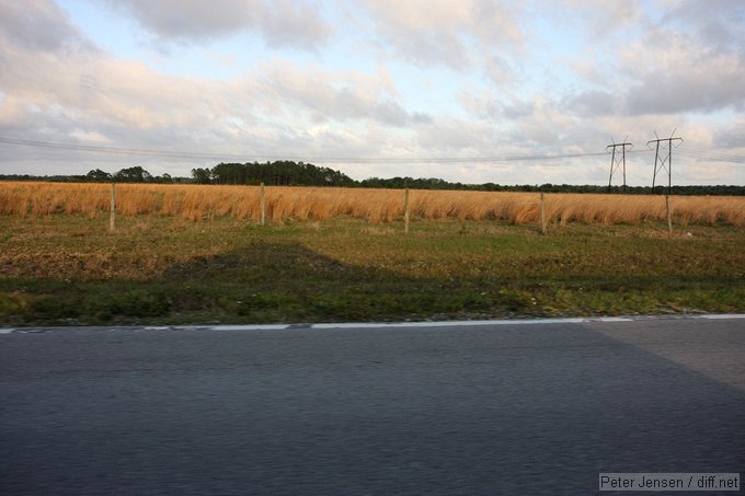 Deer Lake Rd.