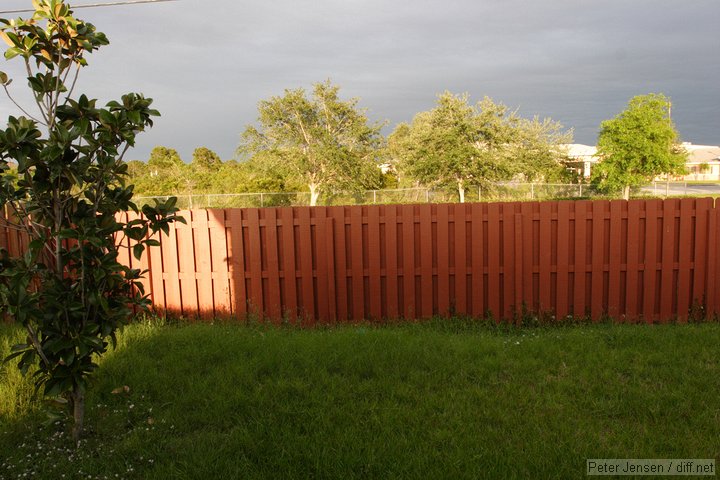 nature preserve in the back yard