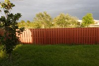 nature preserve in the back yard