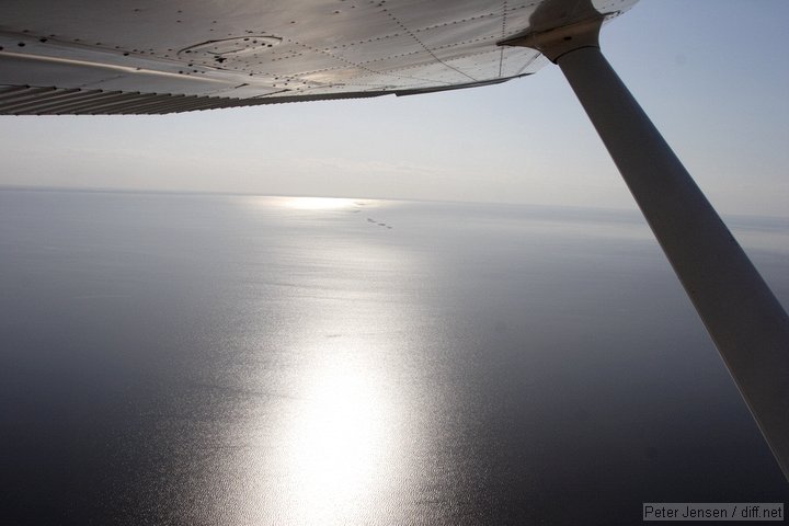 lake Okeechobee