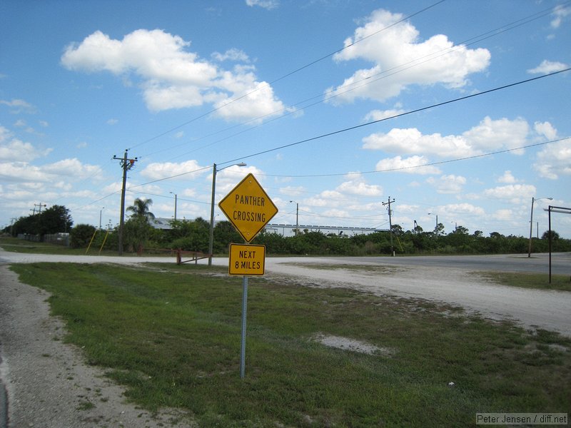 Panther Crossing