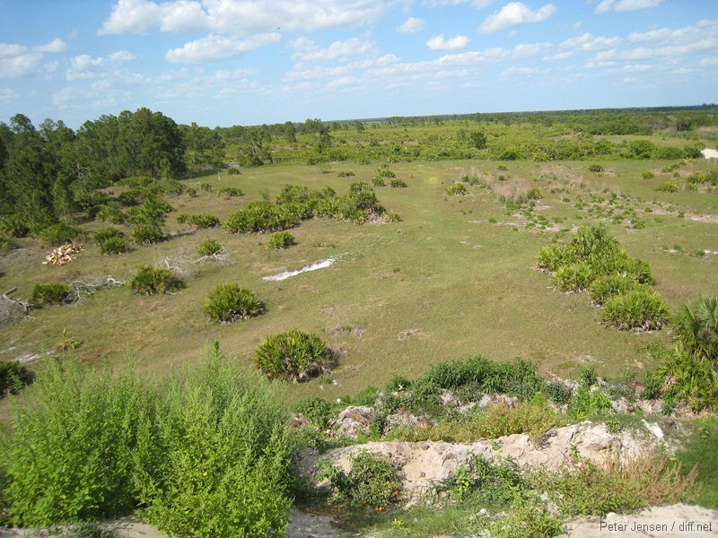 from the mound of dirt