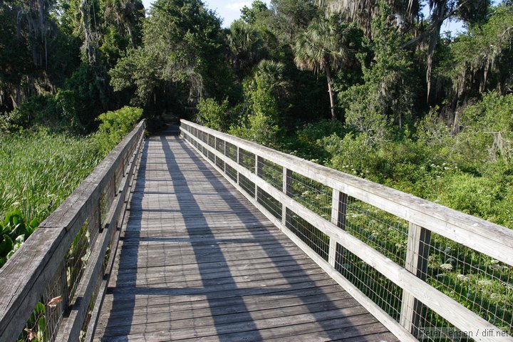 boardwalk by the lake
