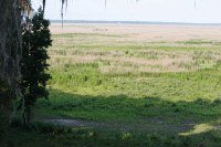note the deer in the lower left