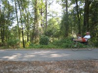 guy on a recumbent cruising by