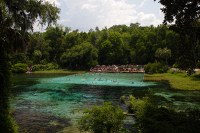 Rainbow Springs