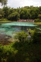 Rainbow Springs