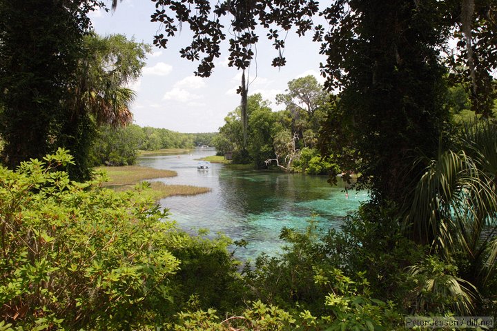 Rainbow Springs