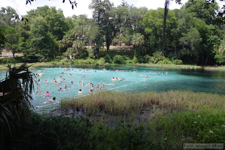 Rainbow Springs swim area