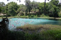 Rainbow Springs swim area