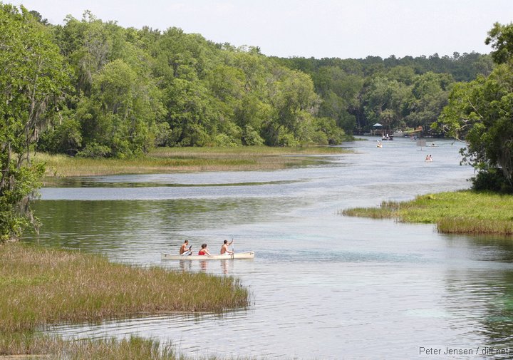 paddlers on the Rainbow River