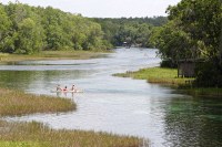 paddlers on the Rainbow River