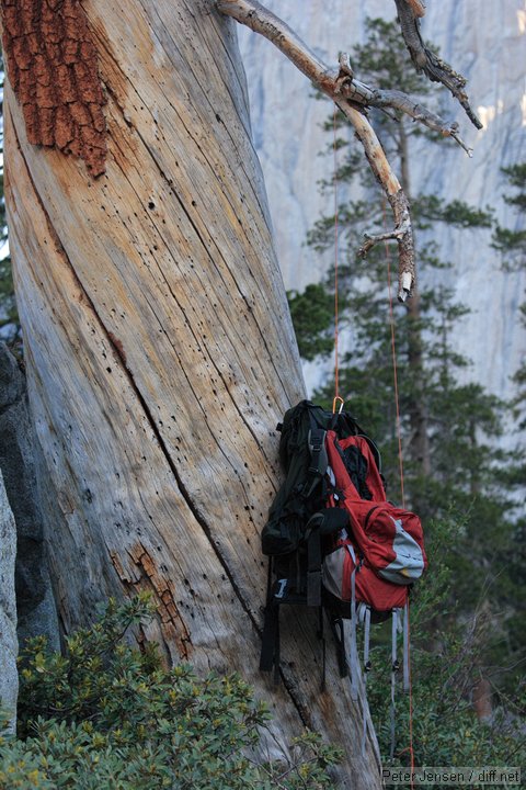 packs hung empty to keep the marmots out
