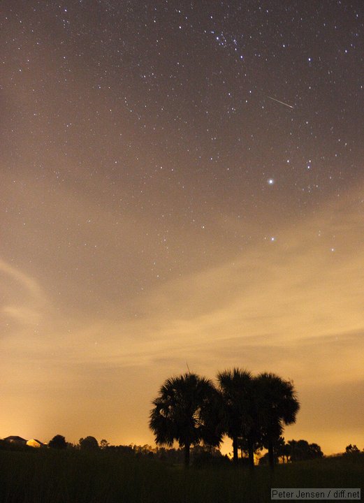 a Perseid