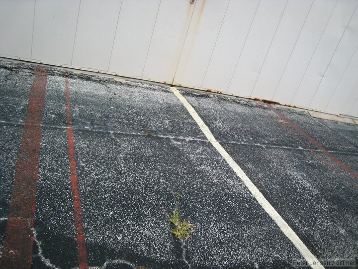 old Archer stripes