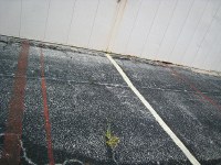 old Archer stripes