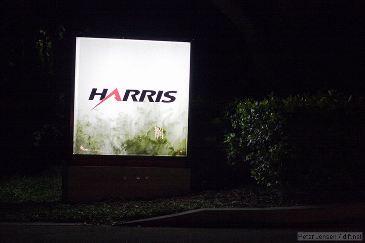 Evans Rd Harris sign that has been infiltrated by ferns