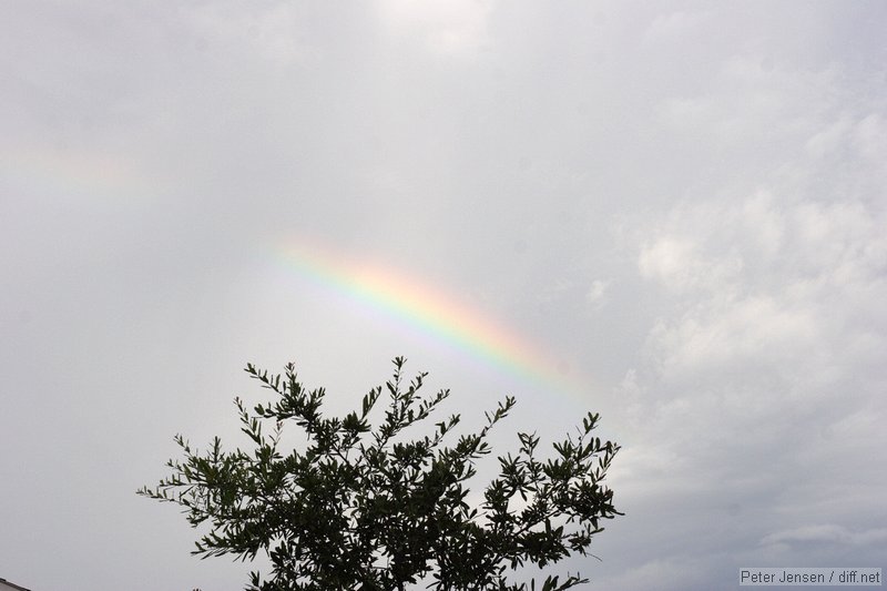 rainbow