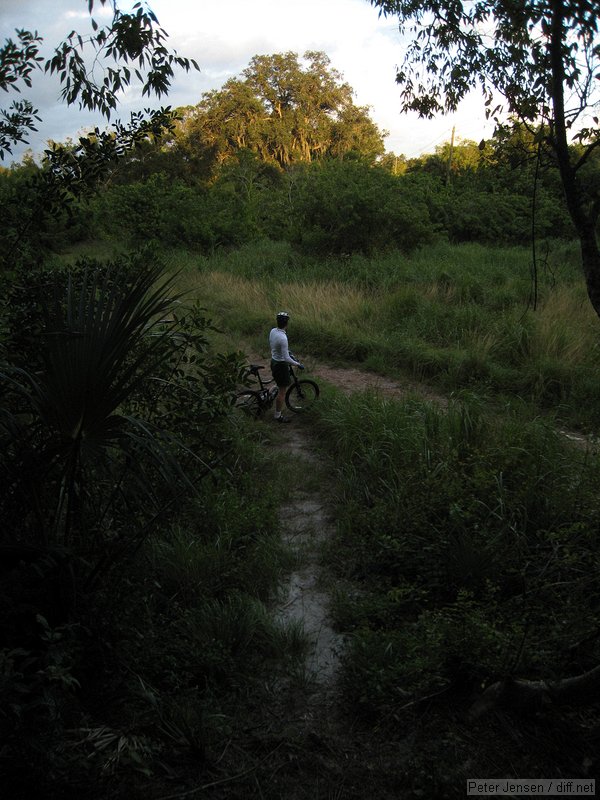 Tillman canal