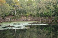 the place where the river goes underground at O'Leno