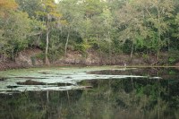 the place where the river goes underground at O'Leno