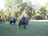 meeting some friendly horse-folks at San Felasco