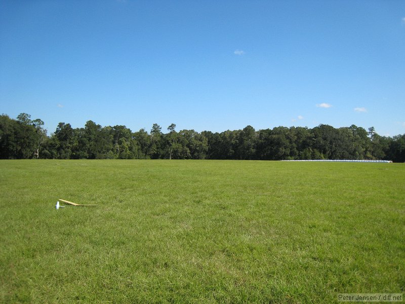 nice field for DLG