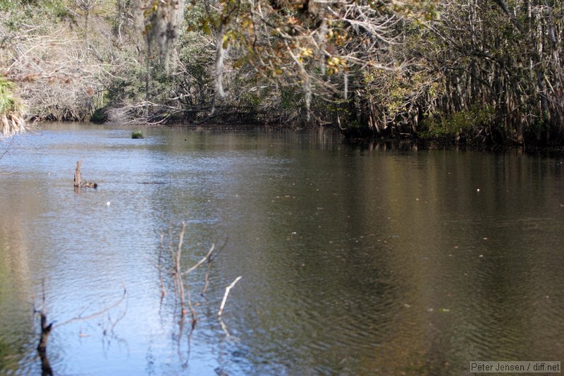 Bull Creek WMA