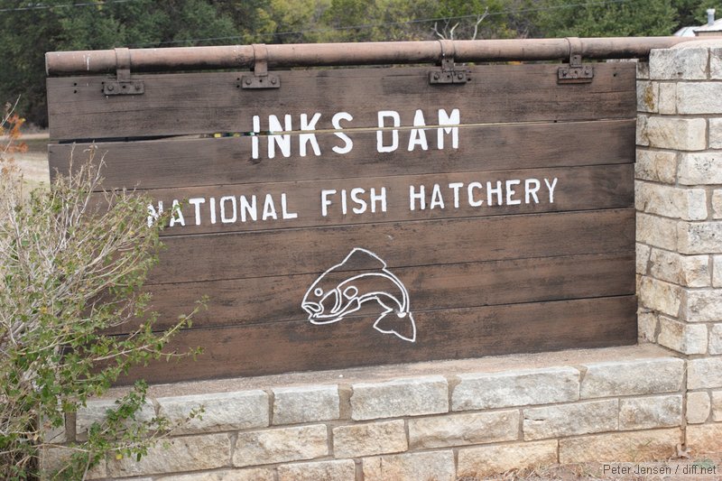 Inks Dam National Fish Hatchery - ran in to a super cool employee who told us all about it.