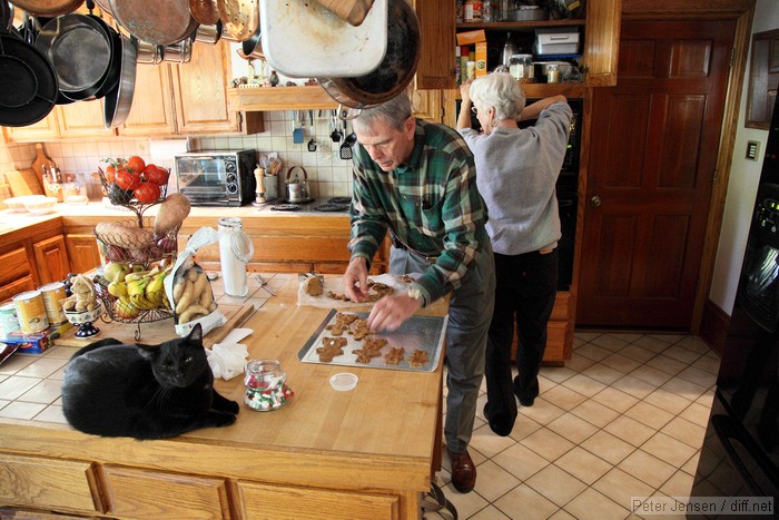 I can haz your holiday cookies.