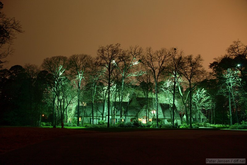 elaborate tree lighting