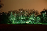 elaborate tree lighting