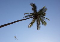 R44 over south beach