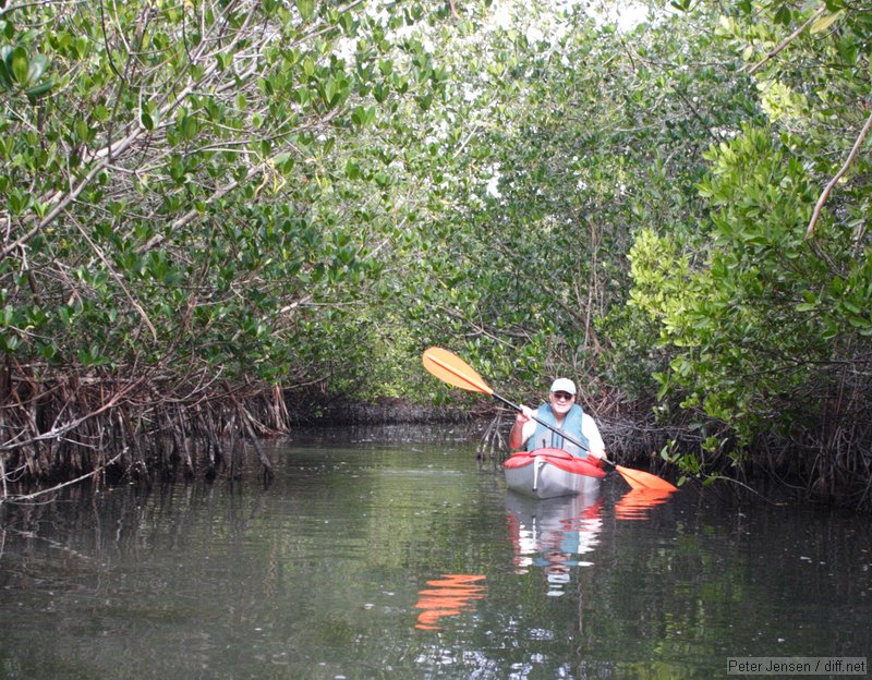 kayaking with Bill at the Thousand Islands