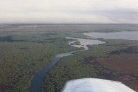 marshes and radome