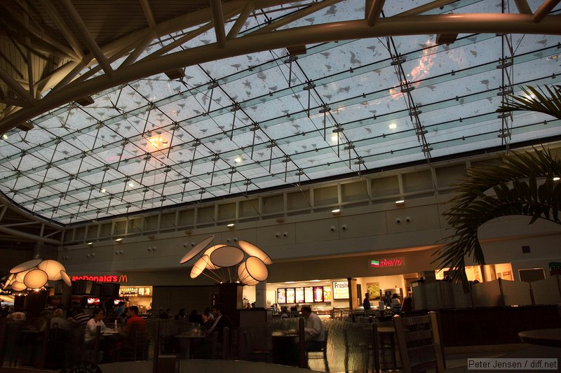 crazy birds on the roof of the terminal at MCO