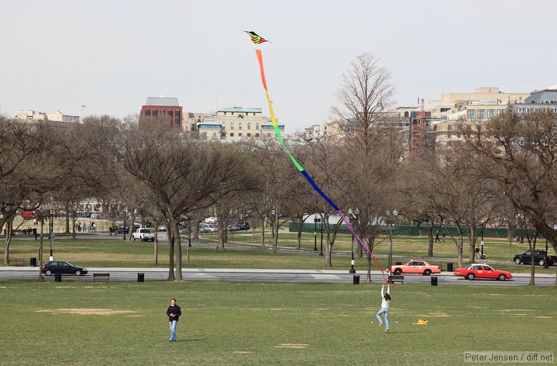 kite