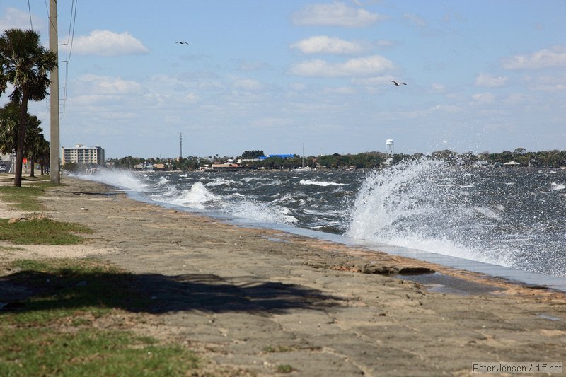 crazy north winds kicking up surf in the river