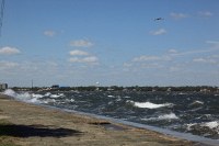 crazy north winds kicking up surf in the river